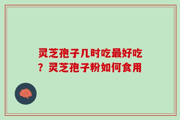 灵芝孢子几时吃最好吃？灵芝孢子粉如何食用
