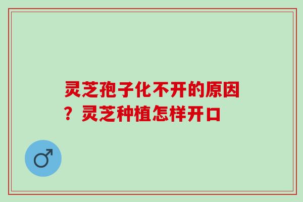 灵芝孢子化不开的原因？灵芝种植怎样开口
