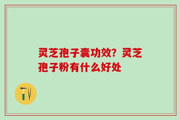灵芝孢子囊功效?灵芝孢子粉有什么好处 灵芝孢子囊功效?灵芝孢子粉有什么好处