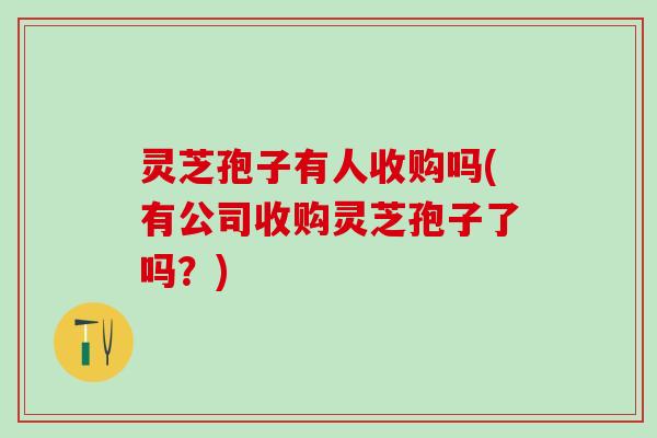 灵芝孢子有人收购吗(有公司收购灵芝孢子了吗？)