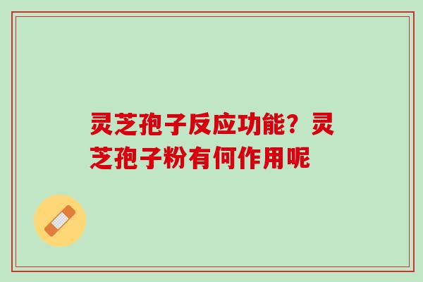 灵芝孢子反应功能？灵芝孢子粉有何作用呢