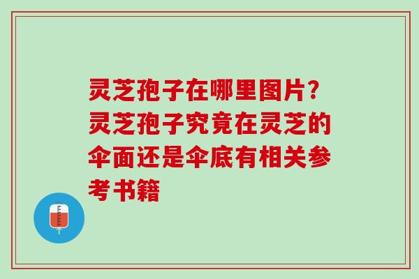 灵芝孢子在哪里图片？灵芝孢子究竟在灵芝的伞面还是伞底有相关参考书籍