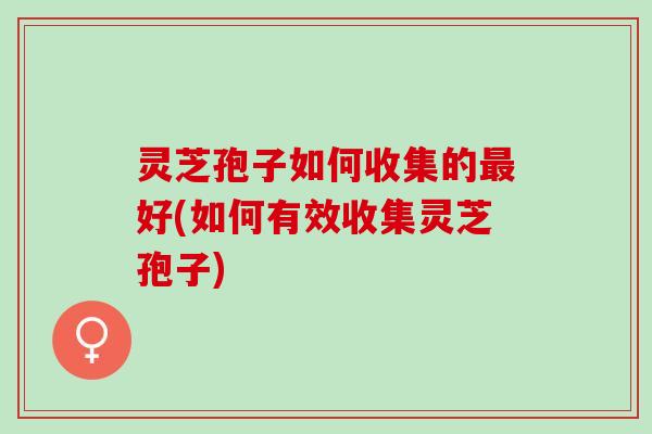 灵芝孢子如何收集的最好(如何有效收集灵芝孢子)