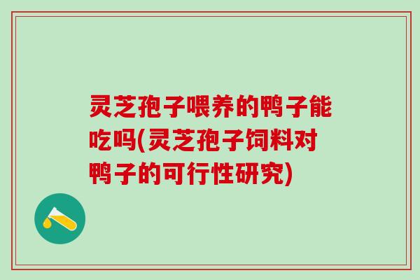 灵芝孢子喂养的鸭子能吃吗(灵芝孢子饲料对鸭子的可行性研究)