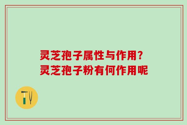 灵芝孢子属性与作用？灵芝孢子粉有何作用呢