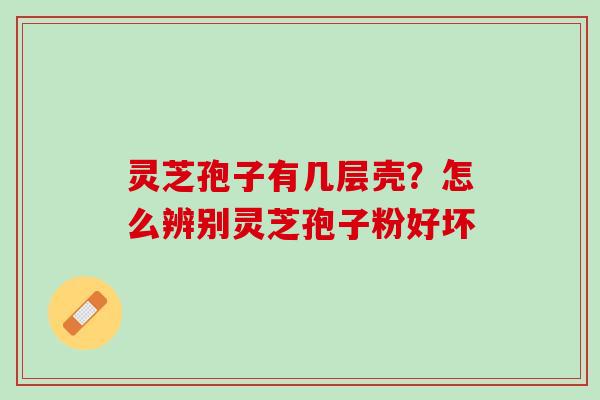 灵芝孢子有几层壳?怎么辨别灵芝孢子粉好坏 灵芝孢子有几层壳?怎么辨别灵芝孢子粉好坏