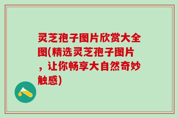 灵芝孢子图片欣赏大全图(精选灵芝孢子图片，让你畅享大自然奇妙触感)