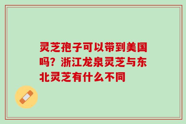 灵芝孢子可以带到美国吗?浙江龙泉灵芝与东北灵芝有什么不同 灵芝孢子可以带到美国吗?浙江龙泉灵芝与东北灵芝有什么不同