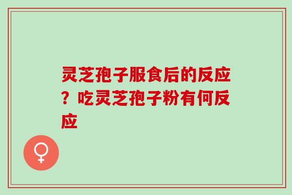 灵芝孢子服食后的反应?吃灵芝孢子粉有何反应 灵芝孢子服食后的反应?吃灵芝孢子粉有何反应