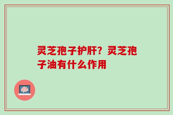 灵芝孢子？灵芝孢子油有什么作用