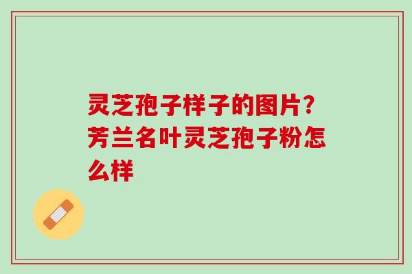 灵芝孢子样子的图片？芳兰名叶灵芝孢子粉怎么样