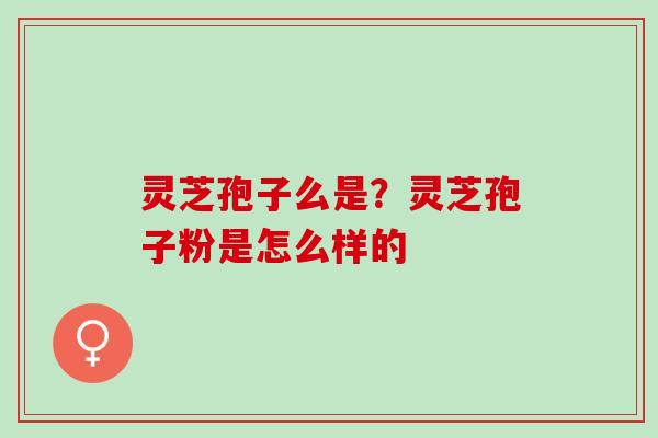 灵芝孢子么是？灵芝孢子粉是怎么样的