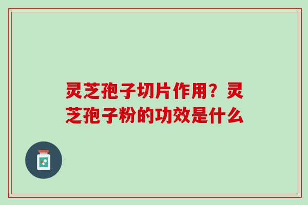 灵芝孢子切片作用？灵芝孢子粉的功效是什么