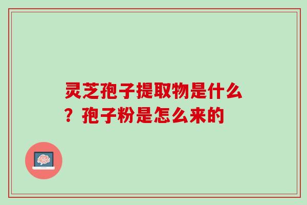 灵芝孢子提取物是什么？孢子粉是怎么来的