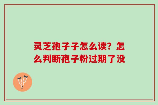 灵芝孢子子怎么读？怎么判断孢子粉过期了没