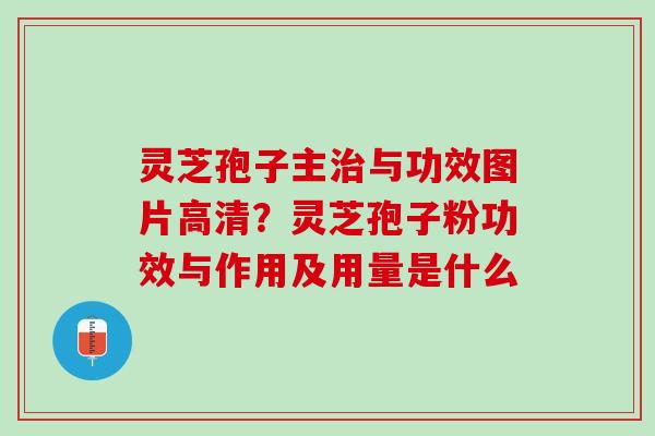 灵芝孢子主治与功效图片高清？灵芝孢子粉功效与作用及用量是什么