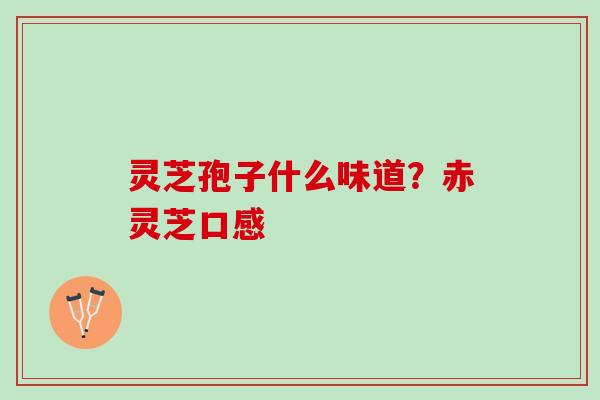 灵芝孢子什么味道？赤灵芝口感