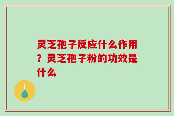 灵芝孢子反应什么作用？灵芝孢子粉的功效是什么