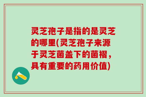灵芝孢子是指的是灵芝的哪里(灵芝孢子来源于灵芝菌盖下的菌褶,具有重要的药用价值) 灵芝孢子是指的是灵芝的哪里(灵芝孢子来源于灵芝菌盖下的菌褶,具有重要的药用价值)
