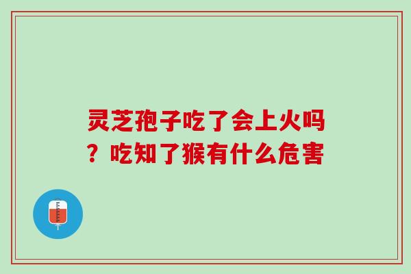 灵芝孢子吃了会上火吗?吃知了猴有什么危害 灵芝孢子吃了会上火吗?吃知了猴有什么危害