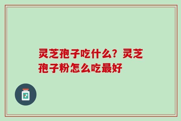 灵芝孢子吃什么？灵芝孢子粉怎么吃最好