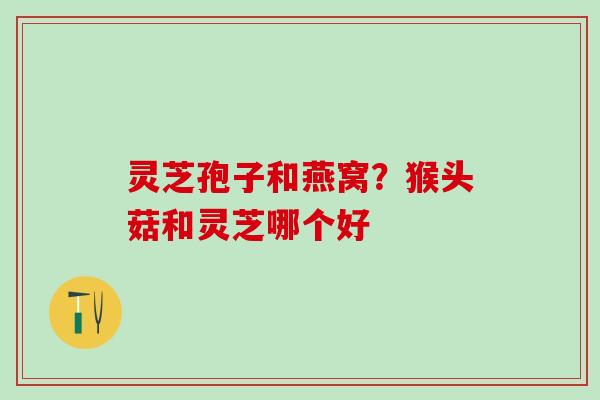 灵芝孢子和燕窝？猴头菇和灵芝哪个好