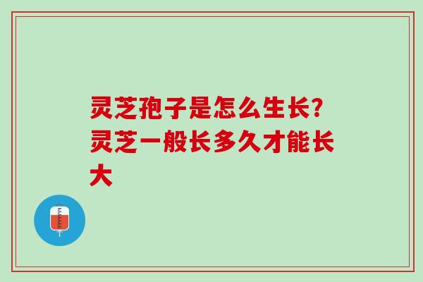 灵芝孢子是怎么生长?灵芝一般长多久才能长大 灵芝孢子是怎么生长?灵芝一般长多久才能长大