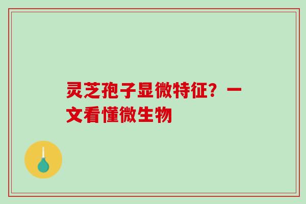 灵芝孢子显微特征?一文看懂微生物 灵芝孢子显微特征?一文看懂微生物
