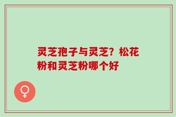 灵芝孢子与灵芝？松花粉和灵芝粉哪个好