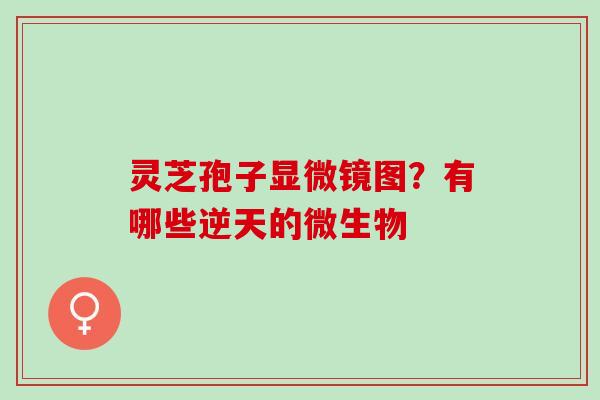 灵芝孢子显微镜图?有哪些逆天的微生物 灵芝孢子显微镜图?有哪些逆天的微生物