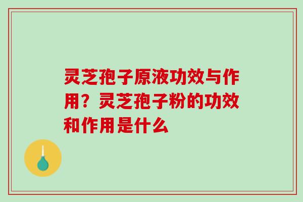 灵芝孢子原液功效与作用？灵芝孢子粉的功效和作用是什么