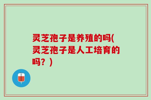 灵芝孢子是养殖的吗(灵芝孢子是人工培育的吗？)