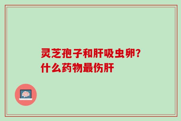 灵芝孢子和肝吸虫卵？什么药物最伤肝
