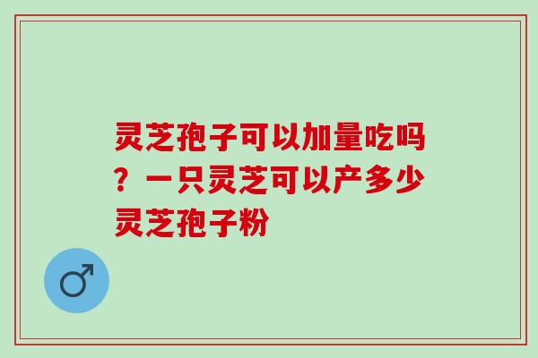 灵芝孢子可以加量吃吗？一只灵芝可以产多少灵芝孢子粉