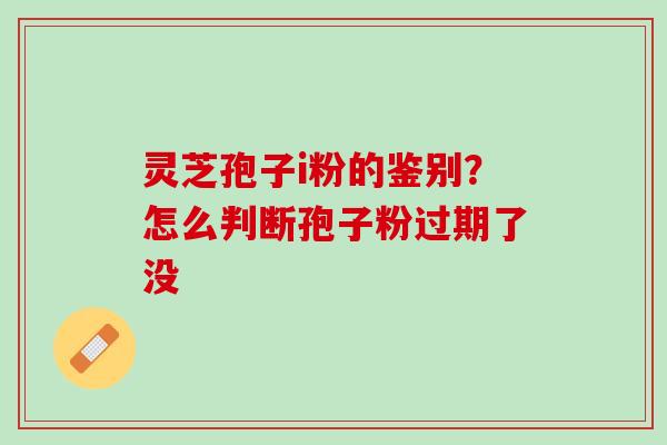 灵芝孢子i粉的鉴别？怎么判断孢子粉过期了没