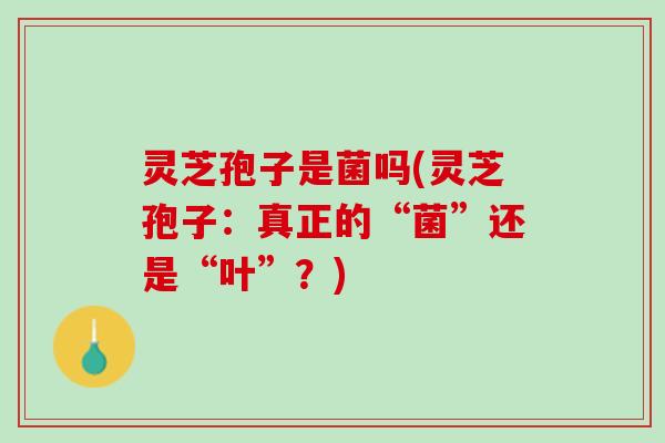 灵芝孢子是菌吗(灵芝孢子：真正的“菌”还是“叶”？)