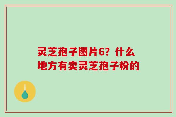 灵芝孢子图片6?什么地方有卖灵芝孢子粉的 灵芝孢子图片6?什么地方有卖灵芝孢子粉的