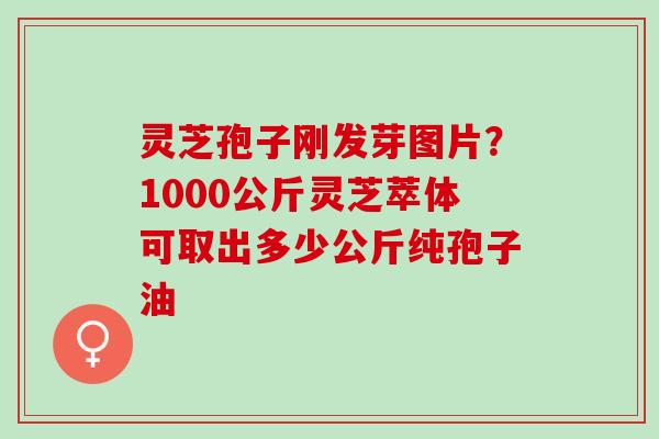 灵芝孢子刚发芽图片？1000公斤灵芝萃体可取出多少公斤纯孢子油
