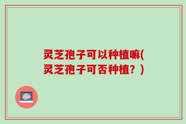 灵芝孢子可以种植嘛(灵芝孢子可否种植？)