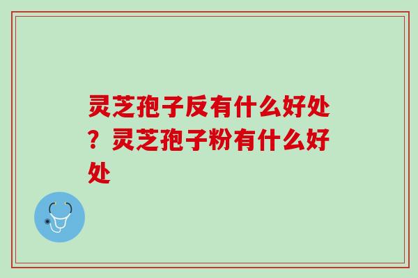 灵芝孢子反有什么好处？灵芝孢子粉有什么好处