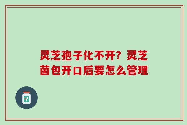 灵芝孢子化不开？灵芝菌包开口后要怎么管理