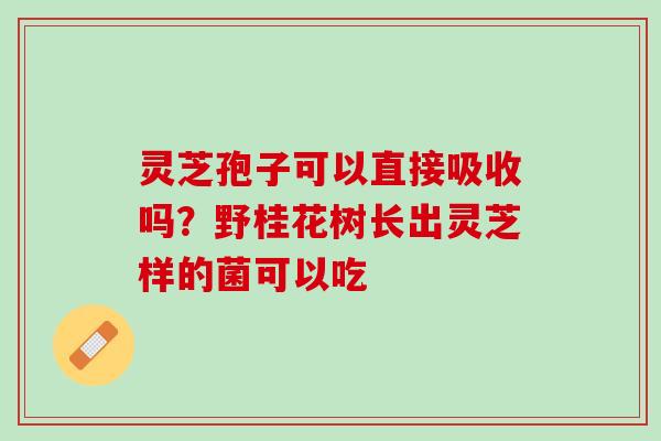 灵芝孢子可以直接吸收吗?野桂花树长出灵芝样的菌可以吃 灵芝孢子可以直接吸收吗?野桂花树长出灵芝样的菌可以吃