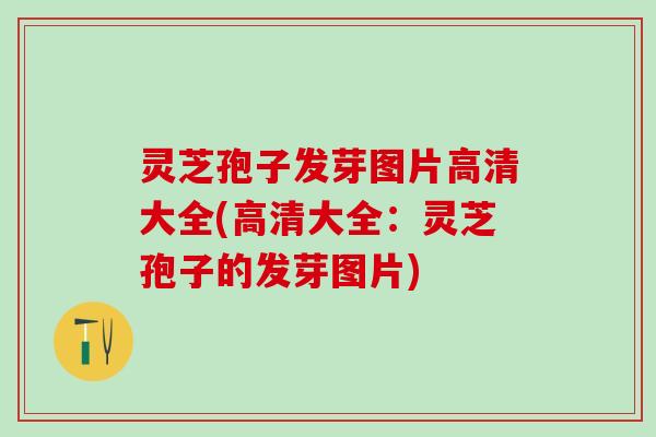 灵芝孢子发芽图片高清大全(高清大全：灵芝孢子的发芽图片)