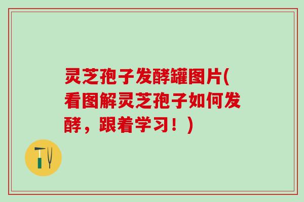 灵芝孢子发酵罐图片(看图解灵芝孢子如何发酵,跟着学习!) 灵芝孢子发酵罐图片(看图解灵芝孢子如何发酵,跟着学习!)
