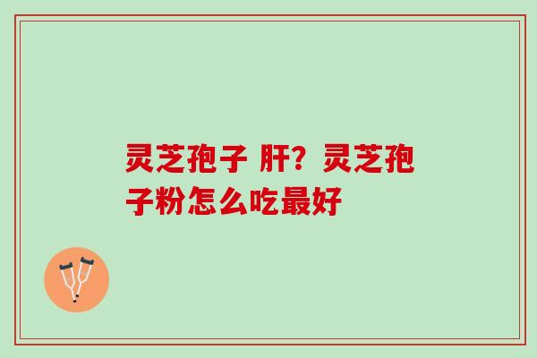 灵芝孢子 肝？灵芝孢子粉怎么吃最好