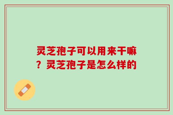 灵芝孢子可以用来干嘛？灵芝孢子是怎么样的