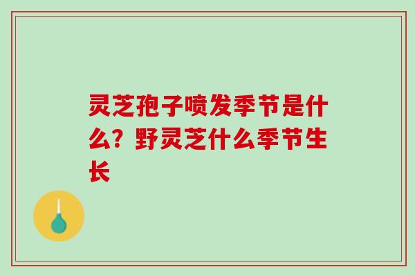 灵芝孢子喷发季节是什么？野灵芝什么季节生长