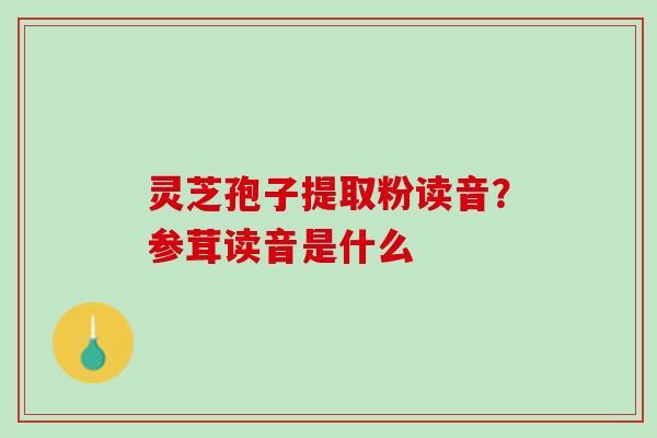 灵芝孢子提取粉读音？参茸读音是什么