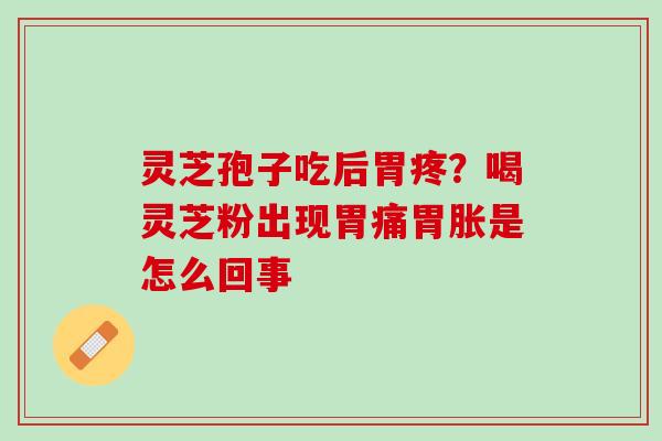 灵芝孢子吃后胃疼？喝灵芝粉出现胃痛胃胀是怎么回事