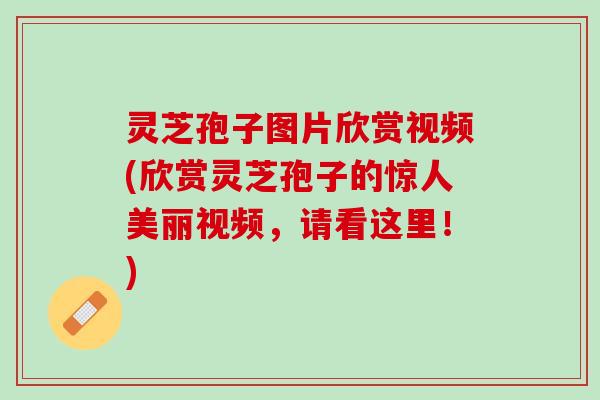 灵芝孢子图片欣赏视频(欣赏灵芝孢子的惊人美丽视频，请看这里！)